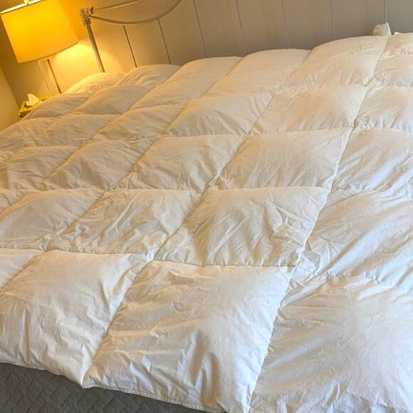 Ikea Honsbar Down Feather Queen Duvet Insert Comforter - Picture 2 of 5